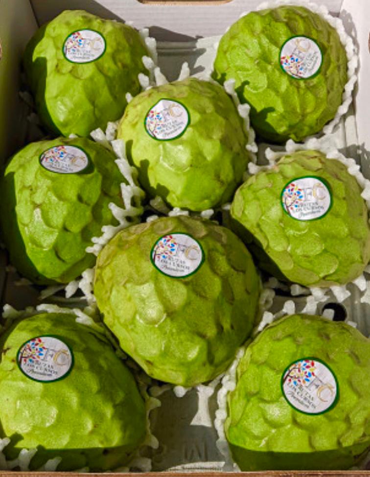 CHERIMOYA.jpg