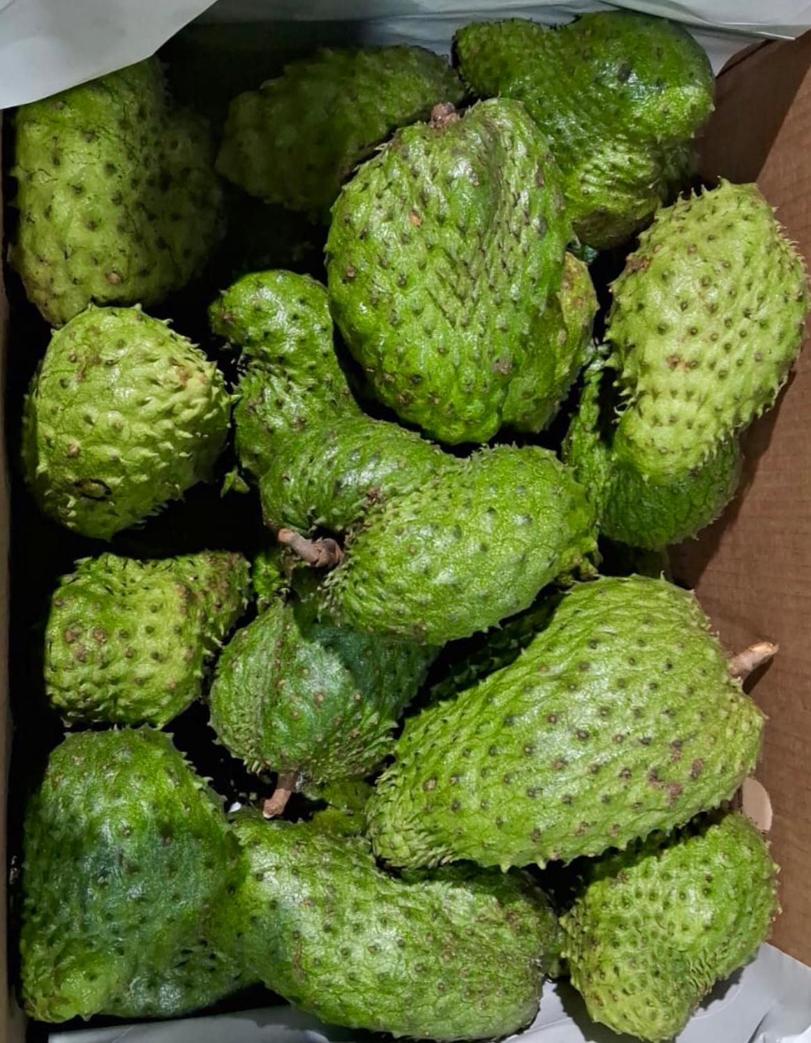 SOURSOP.jpg